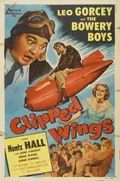 Clipped Wings poster