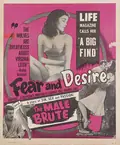 Fear and Desire poster
