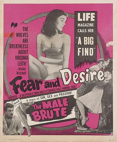 Fear and Desire poster