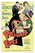 Private Eyes poster