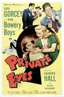 Private Eyes poster