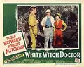 White Witch Doctor poster