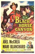 Black Horse Canyon poster