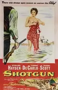 Shotgun poster