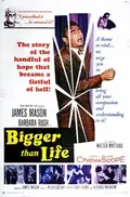 Bigger Than Life poster