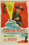 Canyon River poster