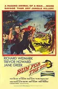Run for the Sun poster