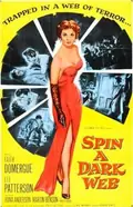 Spin a Dark Web poster