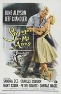 A Stranger in My Arms poster