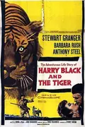 Harry Black and the Tiger poster