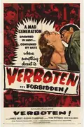Verboten! poster