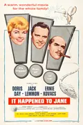It Happened to Jane poster