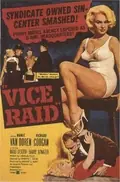 Vice Raid poster