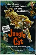 Jungle Cat poster