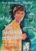 The Haunted Castle poster