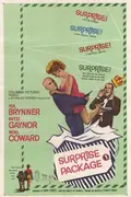 Surprise Package poster