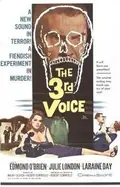 The 3rd Voice poster