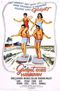 Gidget Goes Hawaiian poster