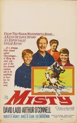 Misty poster