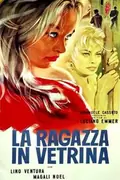 Girl in the Window poster