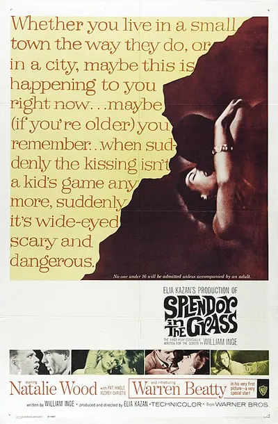 Splendor in the Grass poster