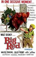Big Red poster