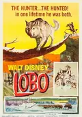 The Legend of Lobo poster