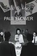 Pale Flower poster