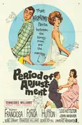 Period of Adjustment poster