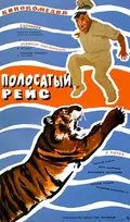 Striped Trip poster