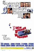 Palm Springs Weekend poster