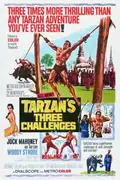Tarzan's Three Challenges poster