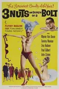 3 Nuts in Search of a Bolt poster