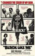 Black Like Me poster