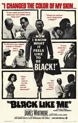 Black Like Me poster