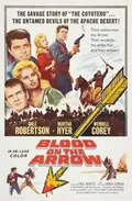 Blood on the Arrow poster