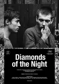 Diamonds of the Night poster