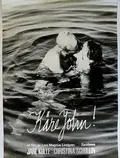 Dear John poster