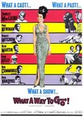 What a Way to Go! poster