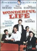 Wonderful Life poster
