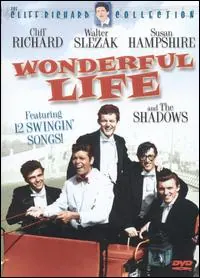 Wonderful Life poster