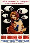 Hot Enough for June poster