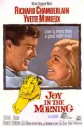 Joy in the Morning poster