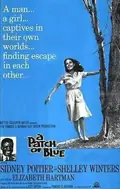 A Patch of Blue poster