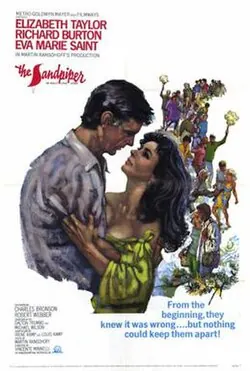 The Sandpiper poster