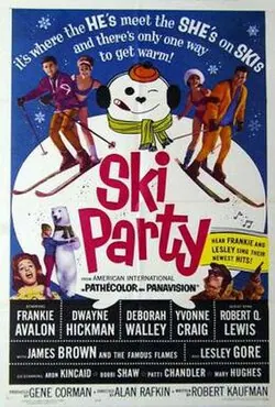Ski Party poster