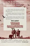 Those Calloways poster