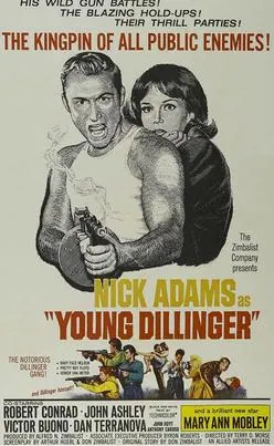 Young Dillinger poster