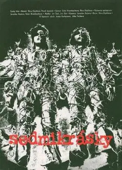 Daisies poster