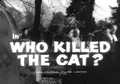 Who Killed the Cat? poster
